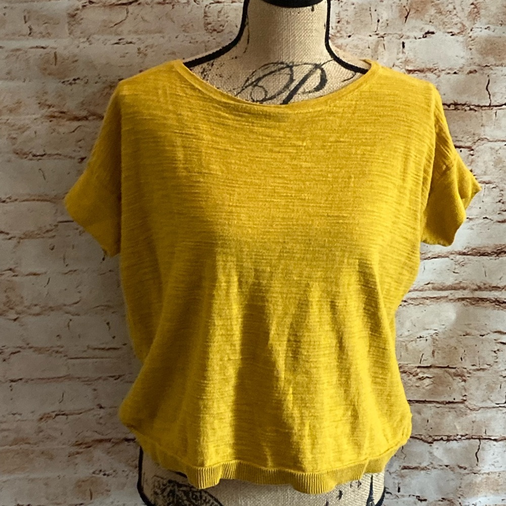 Ann Taylor Loft Top